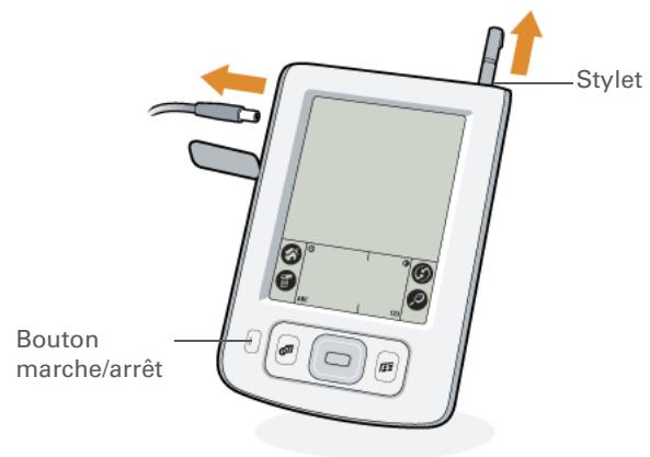 PALM ZIRE 31 - Étape 2 : première mise sous tension de votre ordinateur de poche - 1