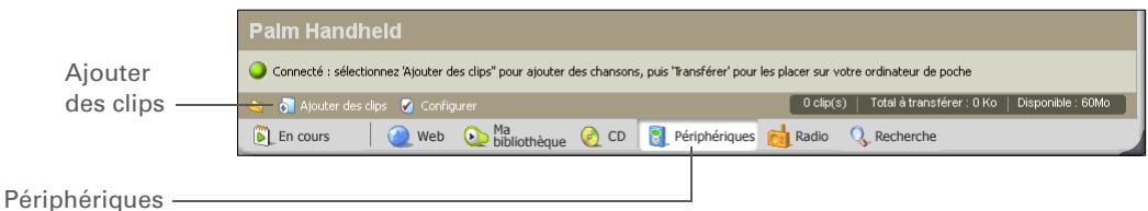 PALM ZIRE 31 - Conseil - 1