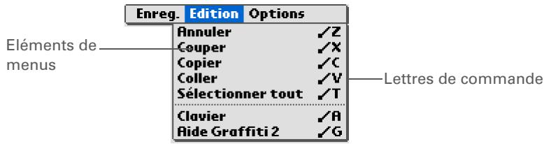 PALM ZIRE 31 - Utilisation du tracé de commande - 2