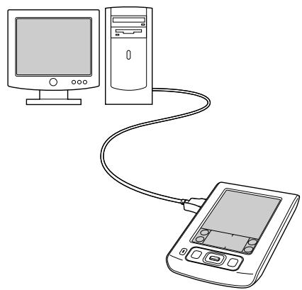 PALM ZIRE 31 - Synchronisation avec un câble - 2