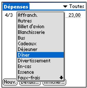 PALM ZIRE 31 - Remarque - 3