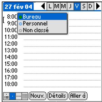 PALM ZIRE 31 - Attribution d'un code couleur à un événement - 2
