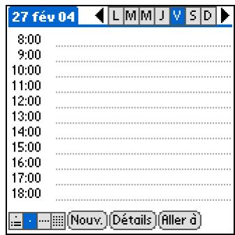 PALM ZIRE 31 - Conseil - 2