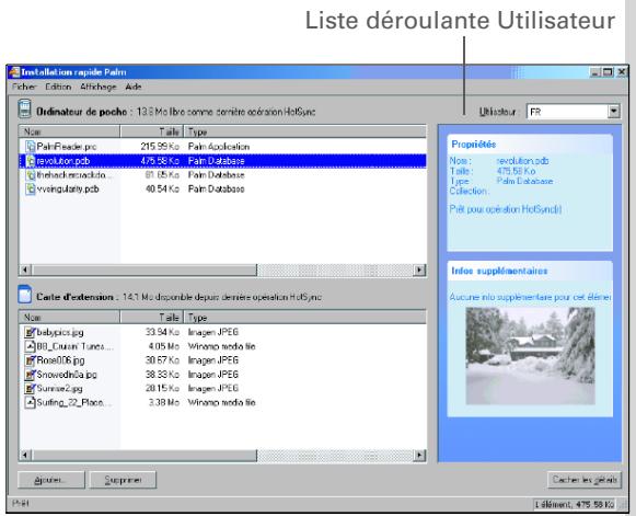 PALM ZIRE 31 - Utilisation de la fenêtre installation rapide palm - 1