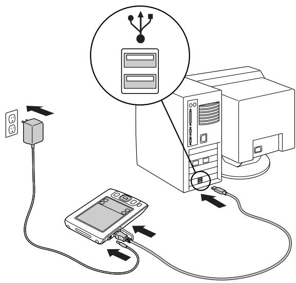 PALM ZIRE 31 - Étape 4 : connexion de votre ordinateur de poche à votre ordinateur de bureau - 2