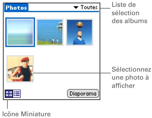 PALM ZIRE 31 - Afficher une photo en vue miniature - 4