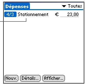 PALM ZIRE 31 - Remarque - 1