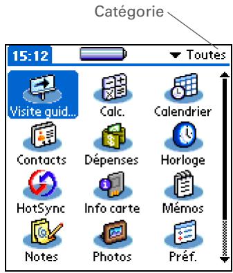 PALM ZIRE 31 - Bouton central - 1