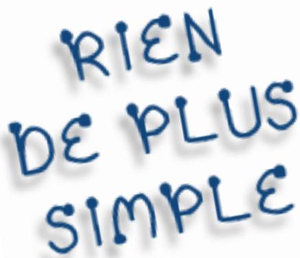 PALM ZIRE 31 - Saisie d'informations - 1