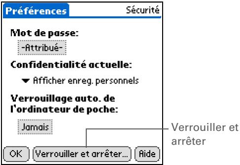 PALM ZIRE 31 - Ouvrez sécurité : - 1