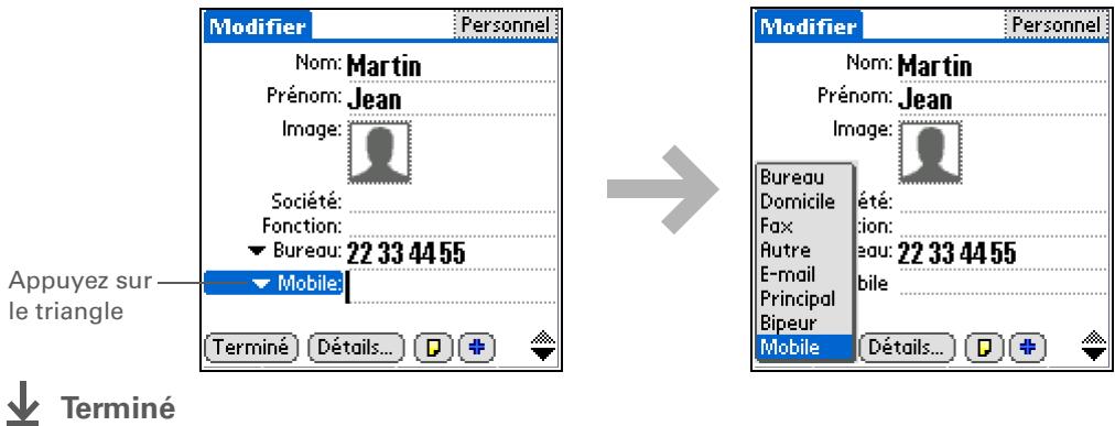 PALM ZIRE 31 - Sélection des types de champs de contact - 1