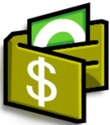 PALM ZIRE 31 - Gestion de vos dépenses - 1