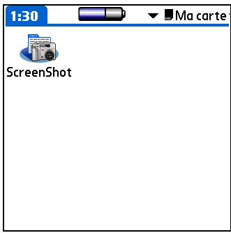 PALM ZIRE 31 - Ouverture d'une application sur une carte d'extension - 2