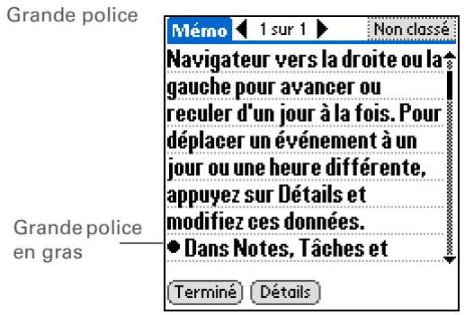 PALM ZIRE 31 - Modification des polices de l'écran - 4