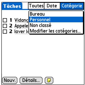 PALM ZIRE 31 - Organisation de vos tâches - 5