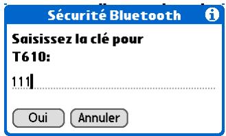 PALM ZIRE 72 - Clé d'authentification - 1
