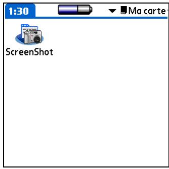 PALM ZIRE 72 - Ouverture d'une application sur une carte d'extension - 2