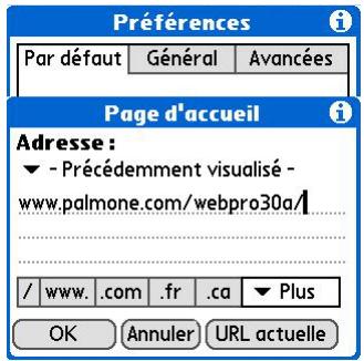 PALM ZIRE 72 - Modification de votre page accueil - 5