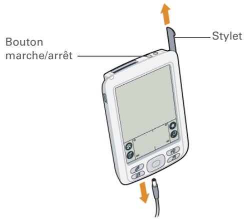 PALM ZIRE 72 - Étape 2 : première mise sous tension de votre ordinateur de poche - 1