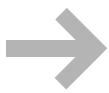 PALM ZIRE 72 - Modification de votre page accueil - 4