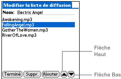 PALM ZIRE 72 - Ajouter des chansons à la liste - 2