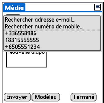 PALM ZIRE 72 - Le saviez-vous? - 1
