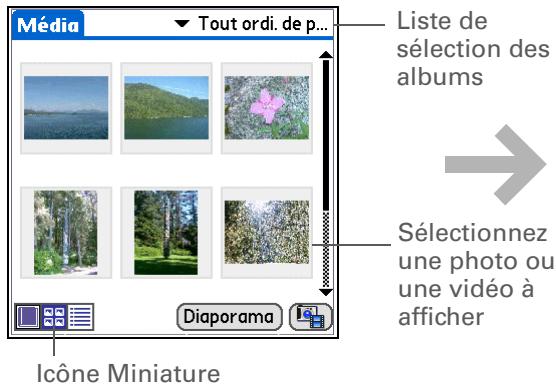 PALM ZIRE 72 - Le saviez-vous ? - 1