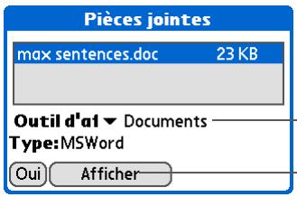 PALM ZIRE 72 - Conseil - 3