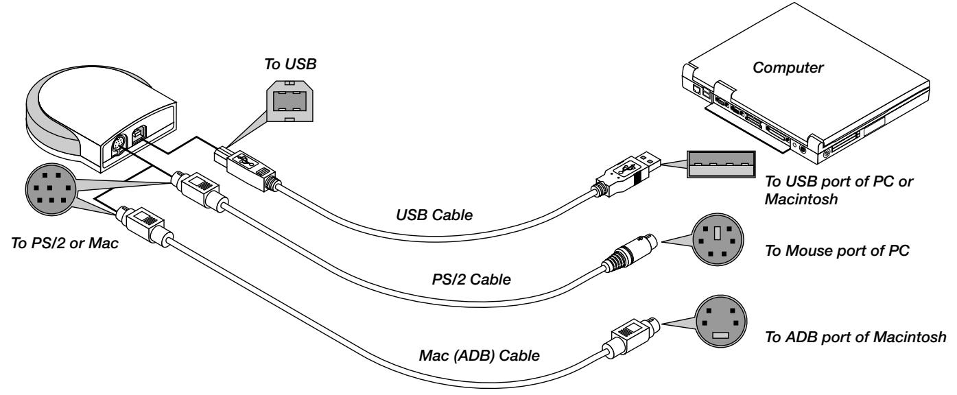 NEC LT154 - Using Remote Mouse Receiver - 1