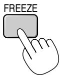 NEC LT154 - Freezing a picture - 1