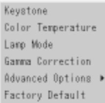 NEC MT1050 - Image Options - 2
