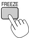 NEC MT1056 - Freezing a picture - 1