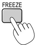 NEC MT850 - Freezing a picture - 1