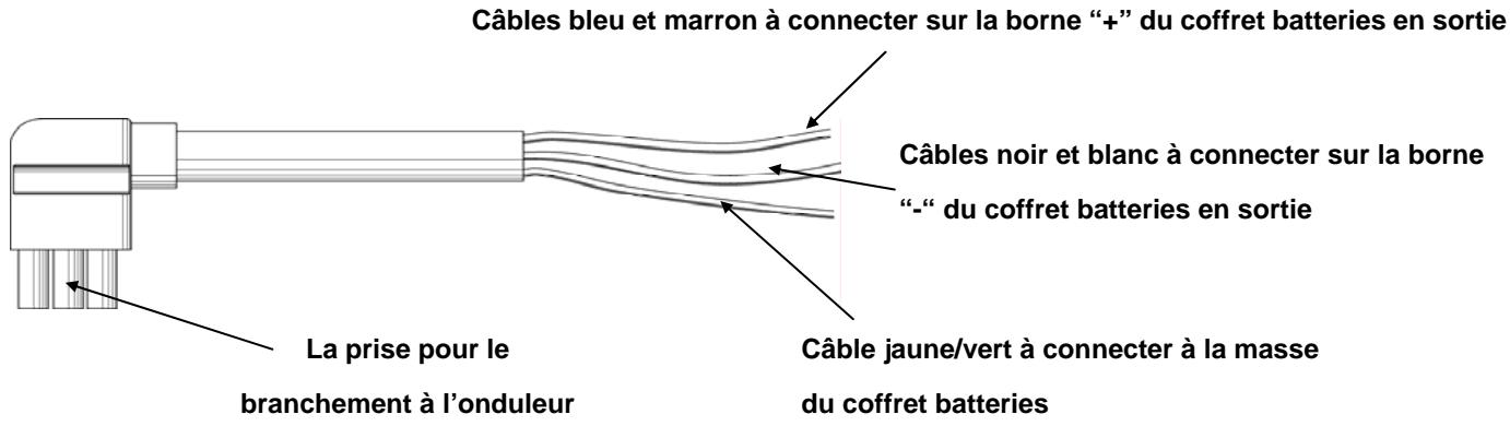 INFOSEC E4 6000 VA - Raccordement d'une batterie externe sur le modèle longue autonomie(S) - 1
