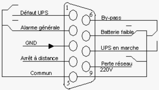 INFOSEC E4 6000 VA - Interface AS400 (Option) - 1