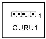 ABIT AN9-32X - GURU Panel Connection Header - 2