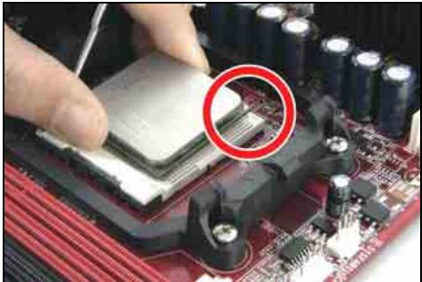 ABIT AN-M2 - CPU Socket AM2 - 1