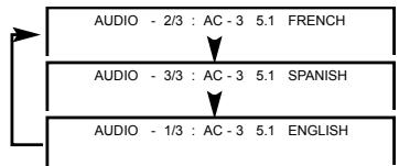 YAMADA DVX-6000 - Sélectionner le lecture AUDIO SETTING - 2