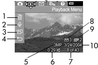 COMPAQ PHOTOSMART M305 - Using the Playback Menu - 1