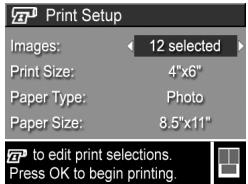 COMPAQ PHOTOSMART M305 - Printing Images Directly from the Camera - 3