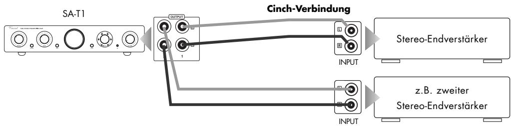 VINCENT SA-T1 - ANSCHLUSS EINES ODER MEHRERER ENDVERSTÄRKER - 1