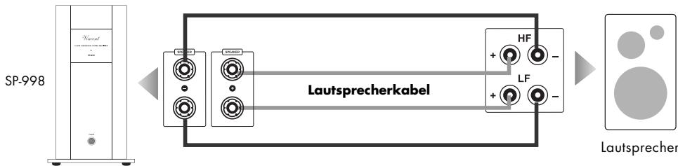 VINCENT SP-998 - ANSCHLUSS DER LAUTSPRECHER - 1