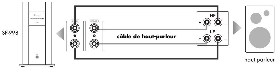 VINCENT SP-998 - Branchement des haut-parleurs - 1