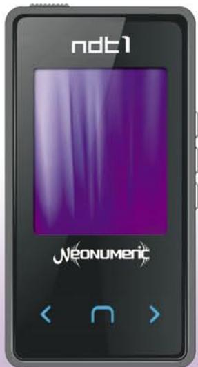 NEONUMERIC NDT-1 - Certifications - 2