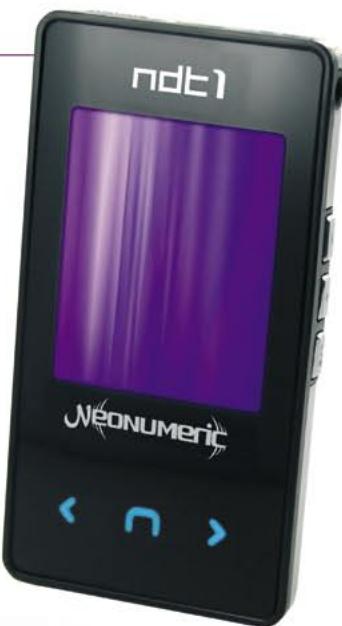 NEONUMERIC NDT-1 - Certifications - 3