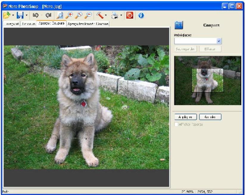 NERO PHOTOSNAP - Recadrage - 1