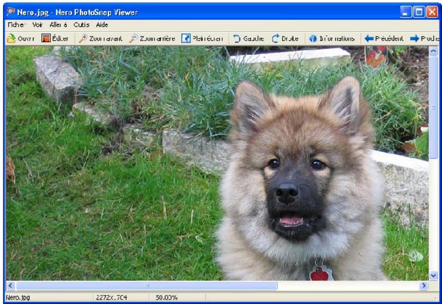 NERO PHOTOSNAP - Zoom d'une photo - 1