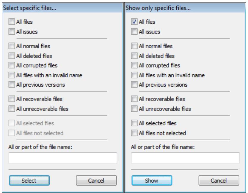 NERO RESCUEAGENT 9 - Show Specific Files / Only Specific Files Window - 1