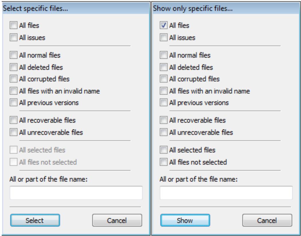 NERO RESCUEAGENT MULTIMEDIA SUITE 10 - Select Specific Files / Show Only Specific Files Window - 1