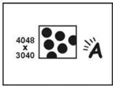GENIUS D1211 - Photo quality - 1